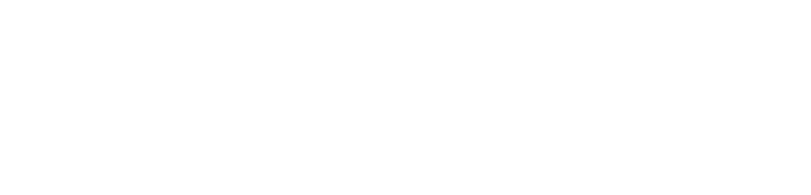 Twinner_Logo-left_neg